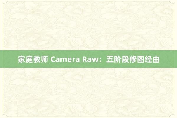 家庭教师 Camera Raw：五阶段修图经由