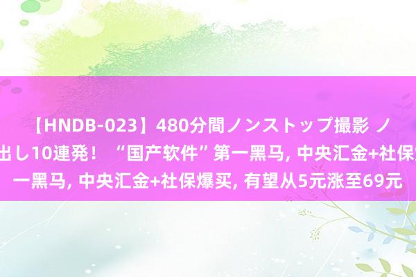 【HNDB-023】480分間ノンストップ撮影 ノーカット編集で本物中出し10連発！ “国产软件”第一黑马, 中央汇金+社保爆买, 有望从5元涨至69元