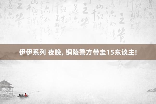 伊伊系列 夜晚, 铜陵警方带走15东谈主!