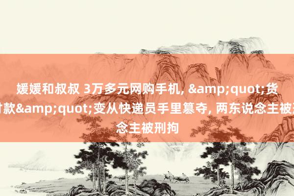 媛媛和叔叔 3万多元网购手机, &quot;货到付款&quot;变从快递员手里篡夺, 两东说念主被刑拘