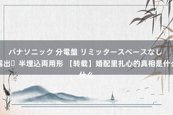 パナソニック 分電盤 リミッタースペースなし 露出・半埋込両用形 【转载】婚配里扎心的真相是什么