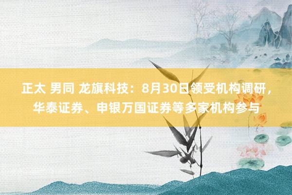 正太 男同 龙旗科技：8月30日领受机构调研，华泰证券、申银万国证券等多家机构参与