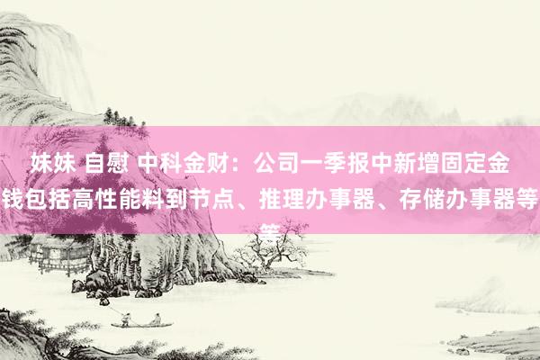 妹妹 自慰 中科金财：公司一季报中新增固定金钱包括高性能料到节点、推理办事器、存储办事器等