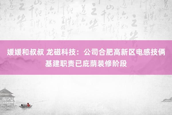 媛媛和叔叔 龙磁科技：公司合肥高新区电感技俩基建职责已庇荫装修阶段