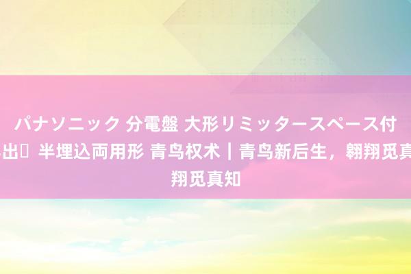 パナソニック 分電盤 大形リミッタースペース付 露出・半埋込両用形 青鸟权术｜青鸟新后生，翱翔觅真知