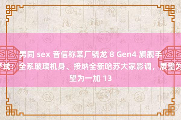 男同 sex 音信称某厂骁龙 8 Gen4 旗舰手机已上产线：全系玻璃机身、接纳全新哈苏大家影调，展望为一加 13