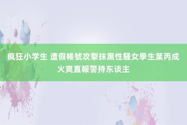 疯狂小学生 遭假帳號攻擊抹黑性騷女學生　葉丙成火爽直報警持东谈主