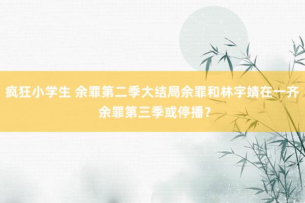 疯狂小学生 余罪第二季大结局余罪和林宇婧在一齐 余罪第三季或停播？