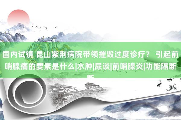 国内试镜 昆山紫荆病院带领摧毁过度诊疗？ 引起前哨腺痛的要素是什么|水肿|尿谈|前哨腺炎|功能隔断